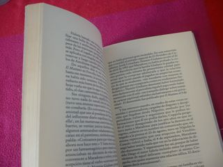 MARADONA AL DESNUDO LA CAIDA DE UN IDOLO