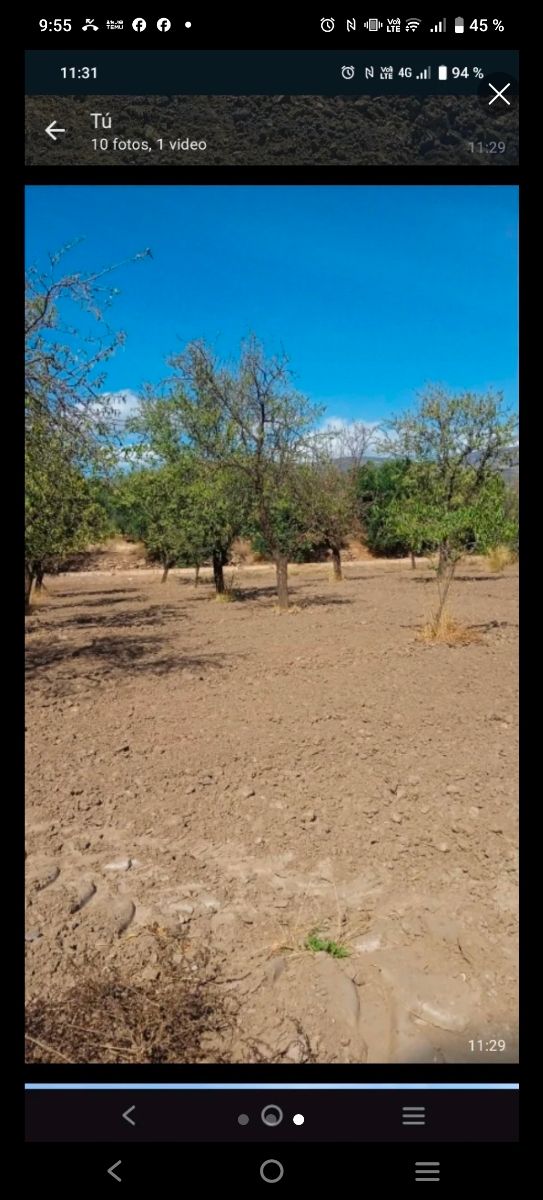 Se vende terreno en fiñana