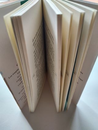 El diario de Marcelo