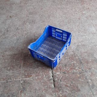 Caja de campo