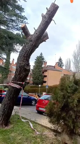 Motoserrista, con certificado de discapacidad 65%.