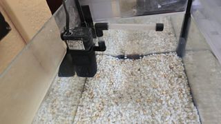 Pecera con filtro y calentador