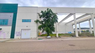 Nave industrial en venta en Muela (La)