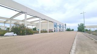 Nave industrial en venta en Muela (La)