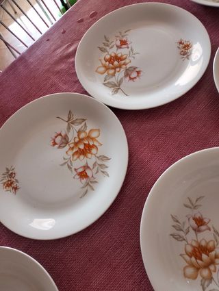 Set di piatti 
