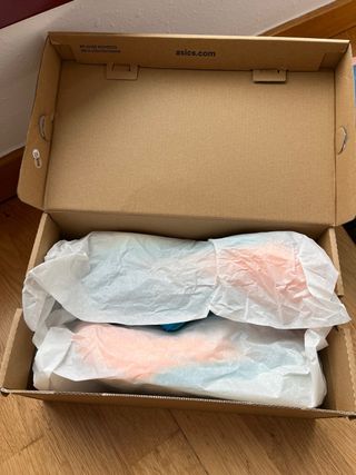 Asics Metaspeed Sky Plus Nuevas