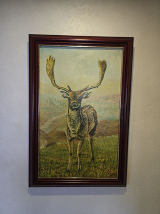 Cuadro oleo gamo