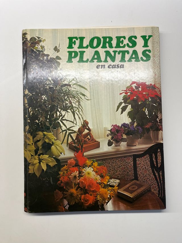 Flores y Plantas en casa. Violet Stevenson