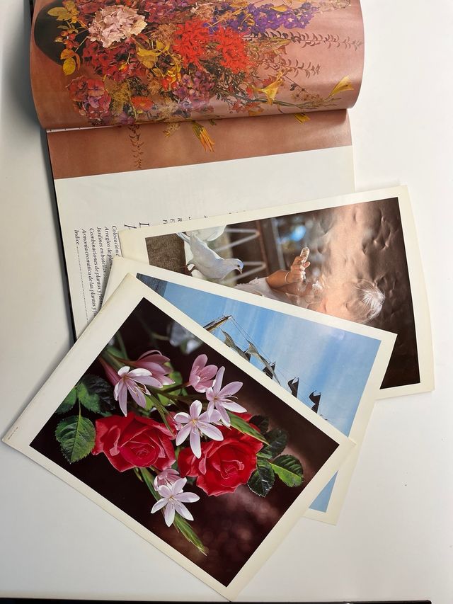 Flores y Plantas en casa. Violet Stevenson