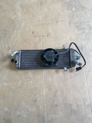 Radiador suzuki burgman 