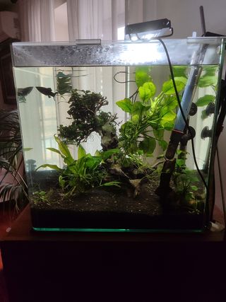 Acuario cubic Blau 91l