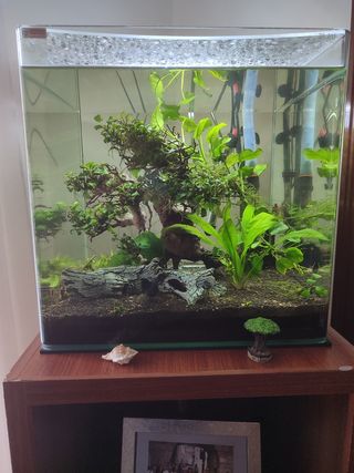 Acuario cubic Blau 91l