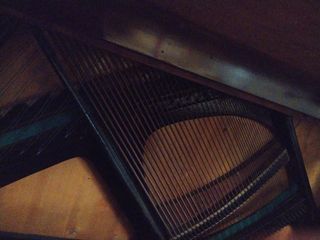 Urge vender piano de pared