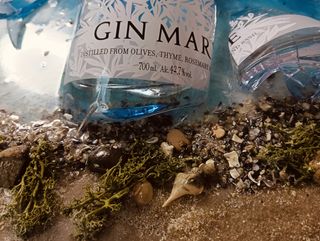 Quadro in resina con gin mare