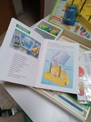 Cultiva tú invernadero Dinova manualidad