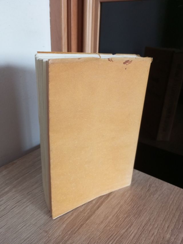 Manual del perfecto canalla. Santa Ana