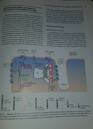 tratado de medicina cardiovascular de la ESC