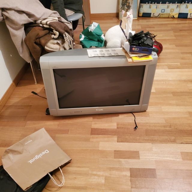 Televisión plana de culo. Philips