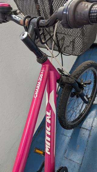 Bicicleta rosa talla 22"