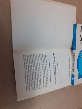 Libro La infancia inadaptada