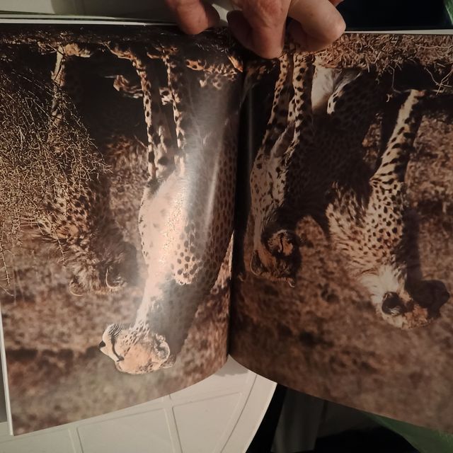 3 libros historia natural