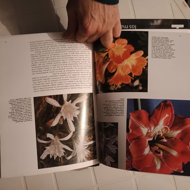 3 libros historia natural