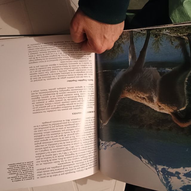 3 libros historia natural