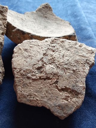 LOTE FRAGMENTOS CERAMICA NEOLITICA TECNICA CORDON