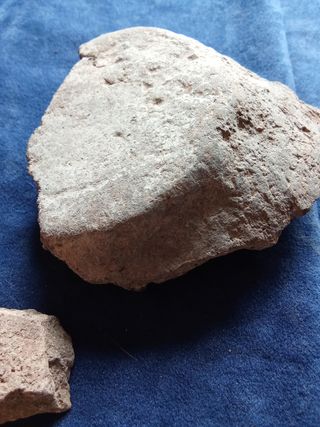 LOTE FRAGMENTOS CERAMICA NEOLITICA TECNICA CORDON