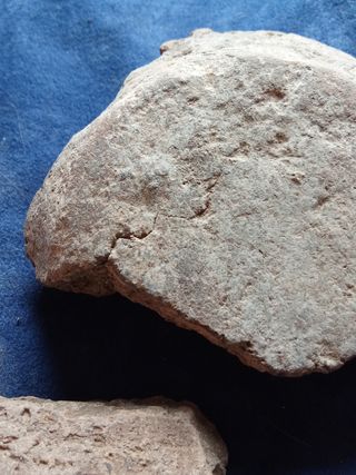LOTE FRAGMENTOS CERAMICA NEOLITICA TECNICA CORDON