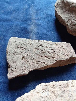 LOTE FRAGMENTOS CERAMICA NEOLITICA TECNICA CORDON