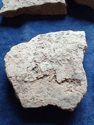 LOTE FRAGMENTOS CERAMICA NEOLITICA TECNICA CORDON
