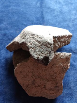 LOTE FRAGMENTOS CERAMICA NEOLITICA TECNICA CORDON