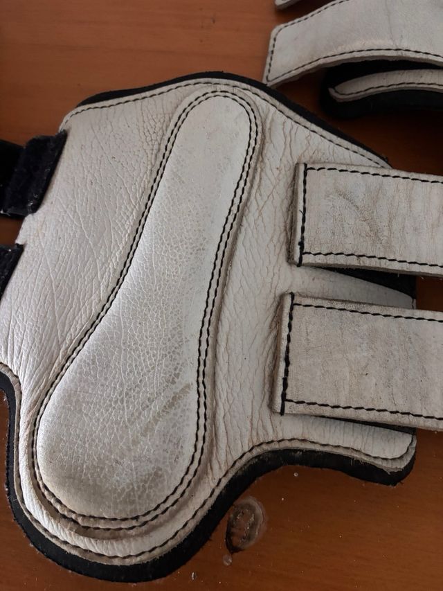 Protectores delanteros caballo