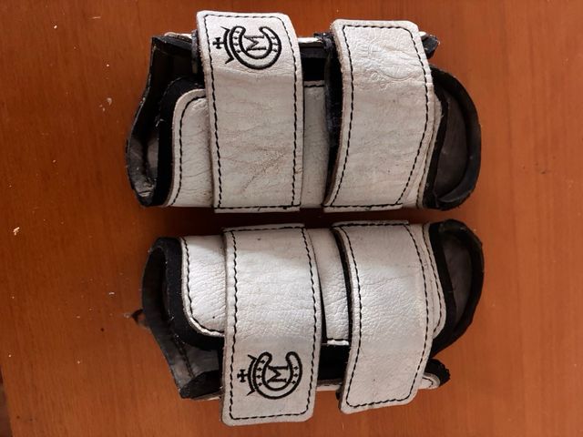 Protectores delanteros caballo