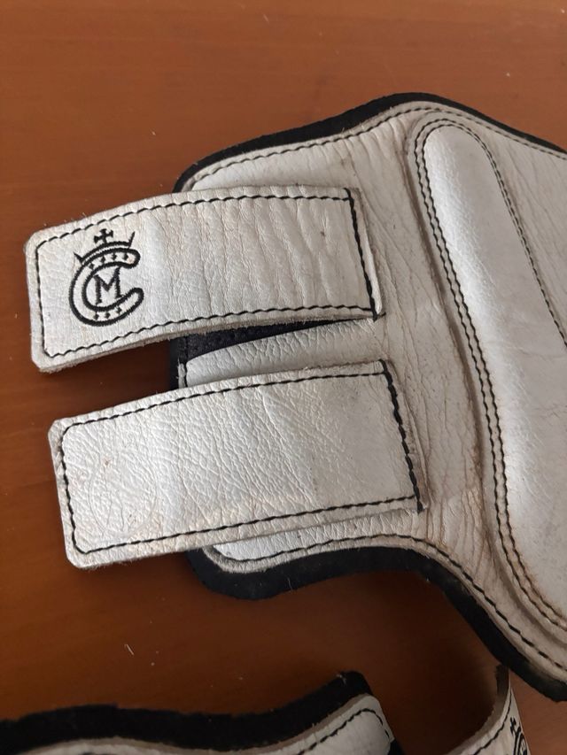 Protectores delanteros caballo