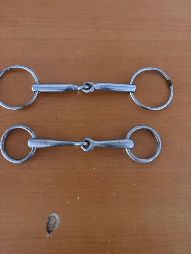 Filetes boca caballo