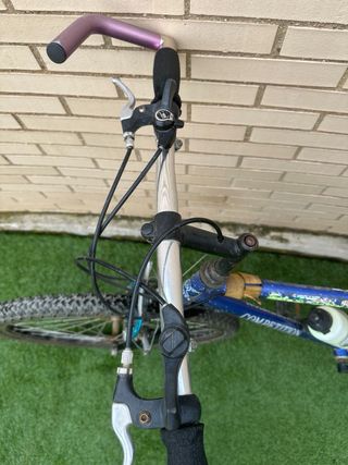 Bicicleta montaña Ulisses