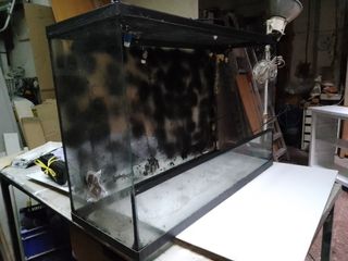 ULTIMA OFERTA!! TERRARIO