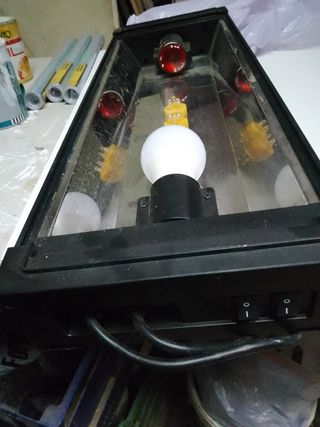 ULTIMA OFERTA!! TERRARIO