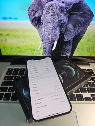 Iphone 12 pro max