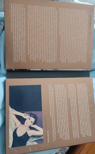 Diana Navarro - La esencia