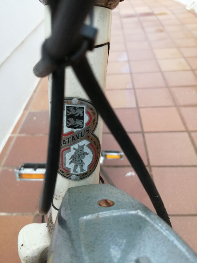 Bicicletta vintage anni '70.