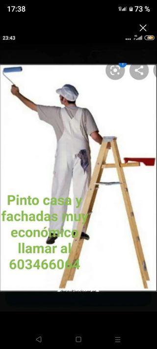 Portes y vaciados y recogida de cgatarra