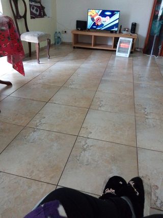 Portes y vaciados y recogida de cgatarra