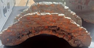 Set de acuario! Nuevo!