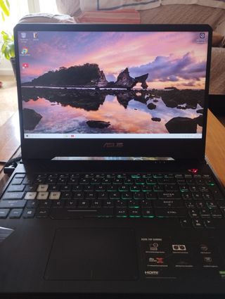 Portátil ASUS TUF GAMING FX505DT - BQ051