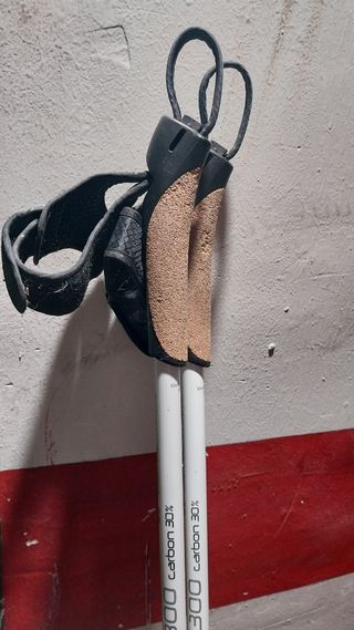 Bastones esquí de fondo