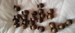 pomelli ottone