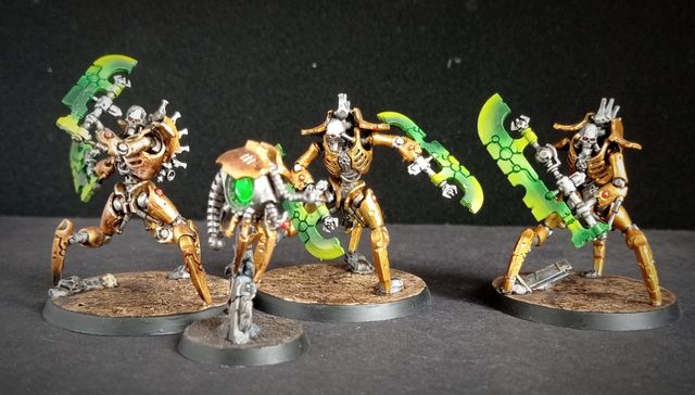 Destructores Skorperkh
